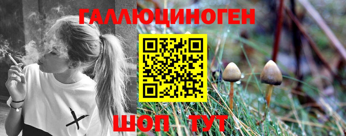 Галлюциногенные грибы MAGIC MUSHROOMS Полевской